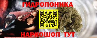 стафф Краснокаменск
