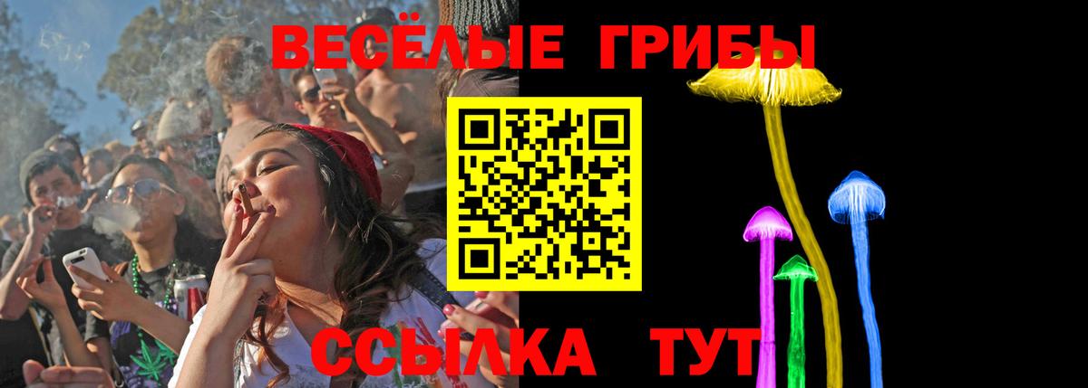 Юрга  как найти   Вход с VPN  Галлюциногенные грибы прущие грибы 
